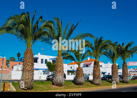 Avenida del Castillo street, Caleta de Fuste, Fuerteventura, Canary Islands, Spain, Europe Banque D'Images