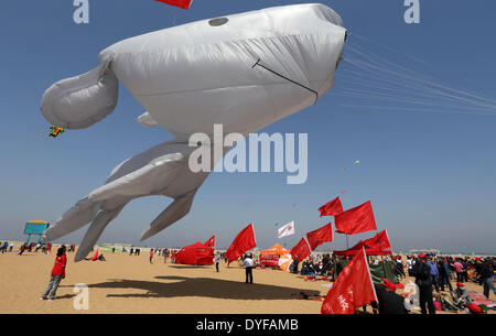 Shanghai, Chine, la province de Shandong. Apr 16, 2014. Un homme vole un cerf-volant au cours d'un concours de cerfs-volants à Weifang, province de Shandong en Chine orientale, le 16 avril 2014. Plus de 1 100 cerfs-volants étaient flied sur l'événement ici mercredi. Credit : Zhang Chi/Xinhua/Alamy Live News Banque D'Images