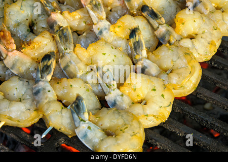 Les brochettes de crevettes cuites sur une petite flamme. Banque D'Images