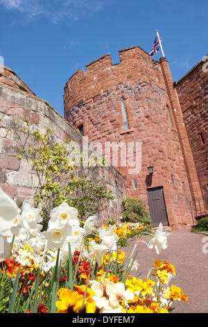 Soleil et des fleurs dans le parc du château de Shrewsbury, Shropshire, au Royaume-Uni. 16 avril, 2014. Banque D'Images