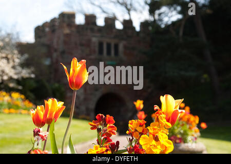 Soleil et des fleurs dans le parc du château de Shrewsbury, Shropshire, au Royaume-Uni. 16 avril, 2014. Banque D'Images