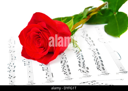 Rose et feuilles de musique Banque D'Images