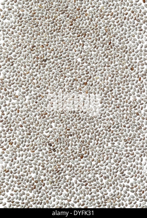 Chia seeds white background Banque D'Images