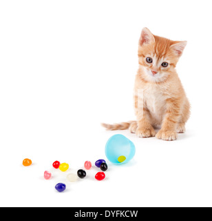 Orange mignon chaton avec grandes pattes assis à côté de récupérer les bonbons haricots isolé sur un fond blanc. Banque D'Images