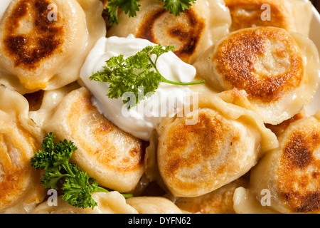 Pierogis polonais fait maison avec de la crème et le persil Banque D'Images