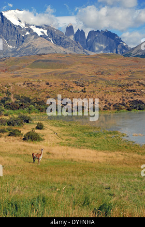 Torres del Paine, Chili, Amérique du Sud Banque D'Images