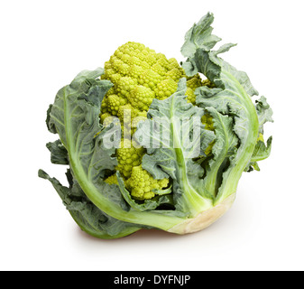 Le chou romanesco isolated Banque D'Images