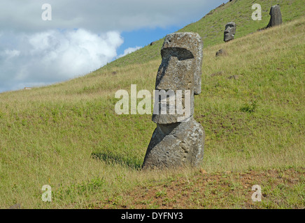 Moai statues de pierre à Rapa Nui - Île de Pâques, Polynésie, Chili Banque D'Images