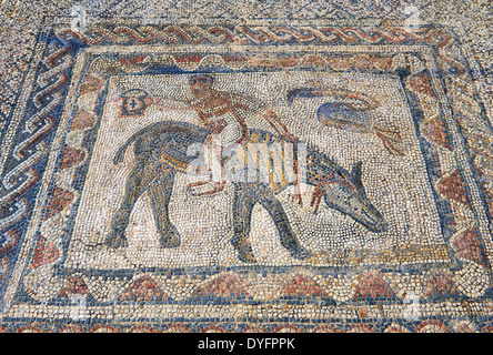 Mosaïque romaine à la Chambre de l'athlète ou Desultor, situé près du forum, site archéologique de Volubilis, Morocc Banque D'Images