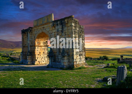 L'Arc de Caracalla, construit en 217 par le gouverneur de la ville Marc Aurèle Site archéologique de Volubilis, Maroc Banque D'Images