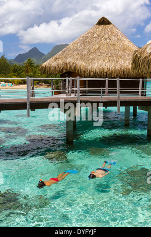 Young Woman snorkeling par toit de chaume bungalows sur pilotis en vacances en Polynésie Francaise Banque D'Images