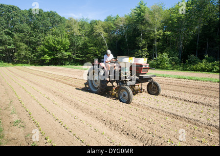 La conduite du tracteur rouge Brunswick, Maine Banque D'Images