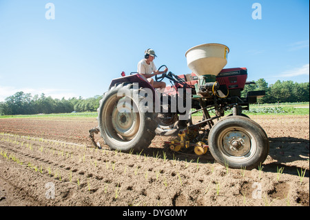 La conduite du tracteur rouge Brunswick, Maine Banque D'Images