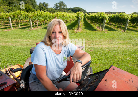 Agricultrice assis sur le tracteur rouge en face de vignoble Sudlersville, MD Banque D'Images