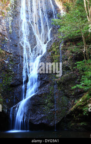 Cascade de Kin, Kyoto, Japon Banque D'Images