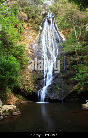 Cascade de Kin, Kyoto, Japon Banque D'Images