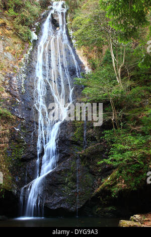 Cascade de Kin, Kyoto, Japon Banque D'Images