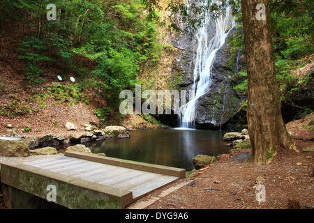 Cascade de Kin, Kyoto, Japon Banque D'Images