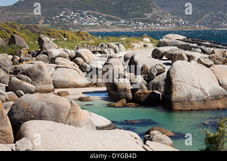 La plage de Boulders près de Simon's Town, Cape Town, Western Cape, Afrique du Sud Banque D'Images