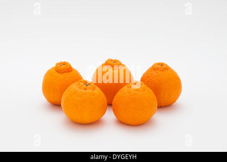 Dekopon fruits Banque D'Images