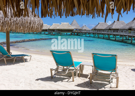 Des chaises longues sur la plage par hutte au toit de chaume donnant sur pilotis en polynésie francaise Banque D'Images