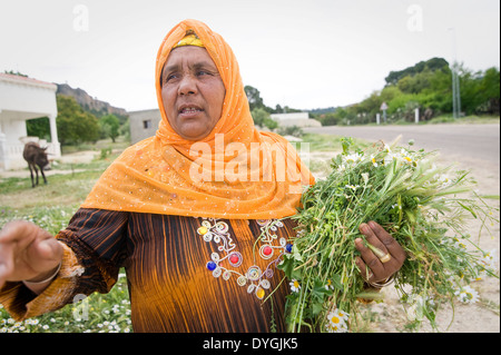 La Tunisie, KASSERINE : La vie dans les villages autour de Kasserine est traditionnel, rurales et pauvres souvent sans même l'eau courante. Banque D'Images