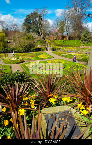 La Dingle au printemps, un jardin à l'intérieur de la carrière, Shrewsbury, Shropshire. Banque D'Images