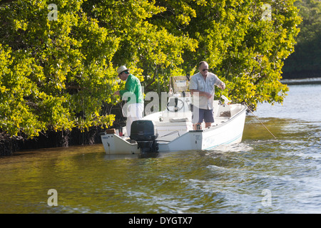 Les pêcheurs en bateau avec fond de la Floride, de la Mangrove Mangal Banque D'Images