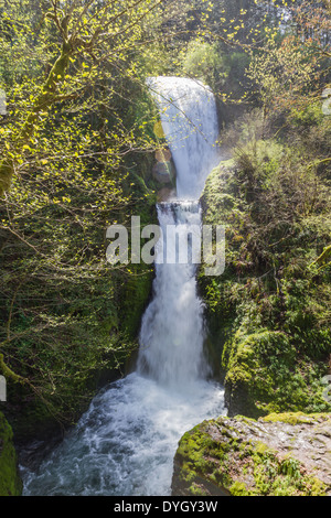 Bridal Veil Falls situé dans la Columbia gorge en Oregon, tourné en début du printemps Banque D'Images