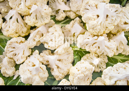 Chou-fleur blanc biologique à des parties cassées Banque D'Images