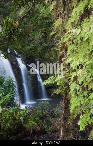 La Waikani falls (Chutes) Trois ours dans la région de Hana Maui, Hawaii le long de la route de Hana. Banque D'Images