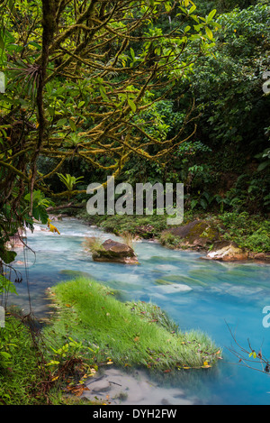 La signature de l'eau bleu turquoise dans le Rio Celeste s'écoule à travers Forêt, Parc National du Volcan Tenorio, le Costa Rica. Banque D'Images