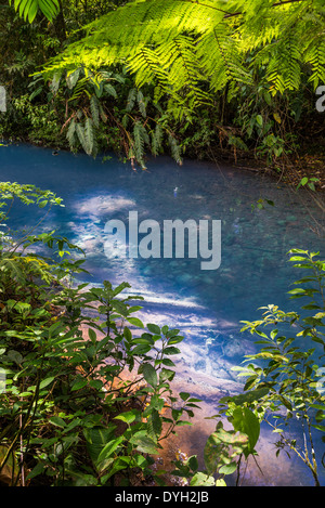 La signature de l'eau bleu turquoise dans le Rio Celeste, Tenorio Volcano National Park, Costa Rica. Banque D'Images