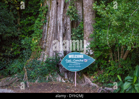 Panneau de bienvenue de la Curi Cancha Réserve Naturelle. Monteverde, Costa Rica. Banque D'Images