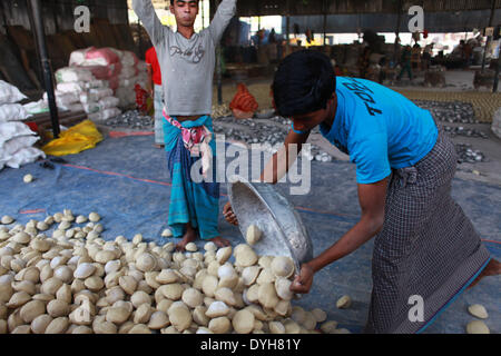 Dhaka, Bangladesh. Mar 19, 2013. Barre de savon de collecte. © Zakir Hossain Chowdhury/NurPhoto ZUMAPRESS.com/Alamy/Live News Banque D'Images