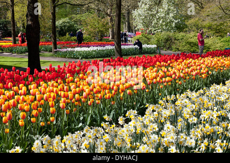 Les tulipes et les touristes dans le Keukenhof à Lisse, aux Pays-Bas Banque D'Images