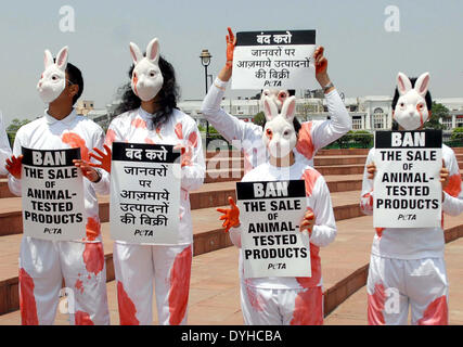 New Delhi, Inde. 18 avr, 2014. Des militants de peuple pour le traitement éthique des animaux (PETA) habillés comme des lapins tenir des pancartes au cours d'une manifestation à New Delhi, Inde, le 18 avril 2014. La manifestation a eu lieu devant la "Semaine mondiale pour les animaux dans les laboratoires" à la demande du ministère de la Santé et du Bien-être de la famille interdire la commercialisation et la vente de produits cosmétiques testés sur les animaux et produits domestiques. Credit : Partha Sarkar/Xinhua/Alamy Live News Banque D'Images