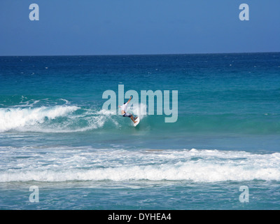 Isla Culebra Puerto Rico USA territoire surfer Beach Zoni Banque D'Images
