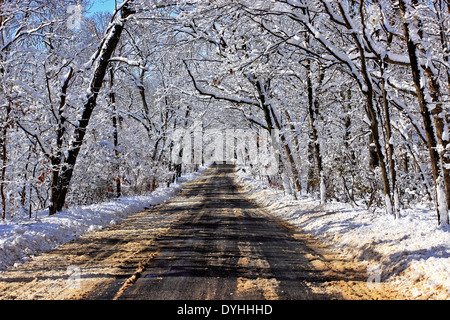 Les arbres couverts de neige et route Setauket Long Island New York Banque D'Images