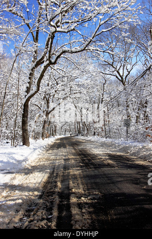 Les arbres couverts de neige et route Setauket Long Island New York Banque D'Images