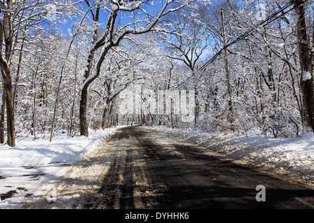 Les arbres couverts de neige et route Setauket Long Island New York Banque D'Images