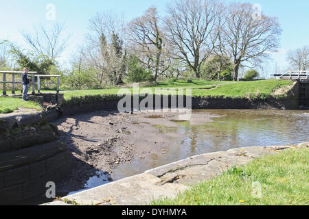 Chorley, Lancashire, Royaume-Uni. 18 mars 2014. Canal du Centre se vide livre à la suite d'une défaillance du canal lock Crédit : Sue Burton/Alamy Live News Banque D'Images