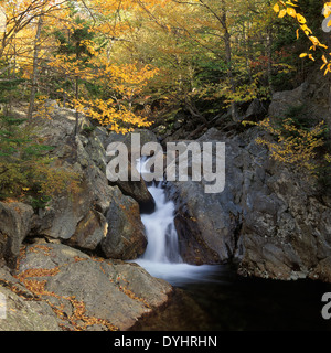 Cascade sur la rivière Ellis au-dessus de Glen Ellis Falls dans la White Mountain National Forest dans le New Hampshire Banque D'Images