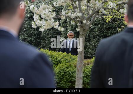 Le président américain Barack Obama arrive pour la présentation de la Commandante en chef trophy sur la pelouse Sud de la Maison Blanche le 18 avril 2014 à Washington, D.C., le président a présenté les aspirants de marine avec le commandant en chef's Trophy, qui va au ministère de la défense de l'équipe de l'Académie avec le plus de victoires contre ses rivaux de service. Banque D'Images