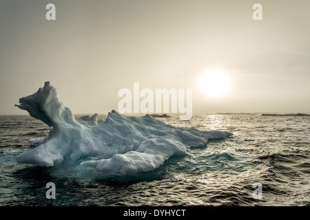 Le Canada, le territoire du Nunavut, soleil de minuit la mise en banque de brouillard au-dessus de la fonte des icebergs dans le détroit Gelé près de cercle arctique Banque D'Images