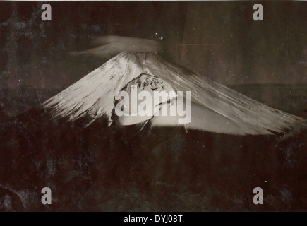 Cette image de la collection de Charles Daniels montre le mont Fuji, au Japon, vu pendant la première Guerre mondiale. La photographie met en valeur le paysage pendant une période d'intense activité militaire. Banque D'Images