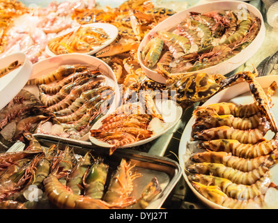 Produits de la mer frais, différents types de crevettes Banque D'Images