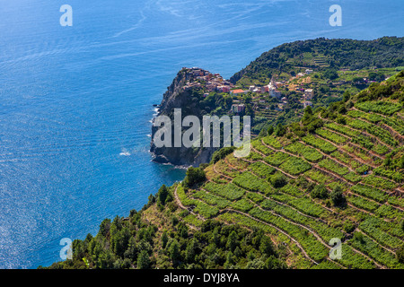 Petit village sur la falaise et vignobles en terrasses sur une pente avec vue sur la mer Méditerranée en Italie. Banque D'Images