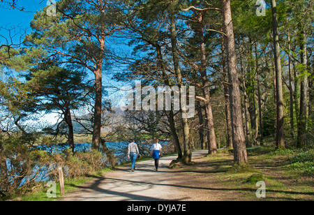 Derwentwater, Keswick, Cumbria, Royaume-Uni. 19 avril 2014. Les vacanciers à pied entre forêt près de Frère's Crag par Derwentwater. Credit : Julie friteuse/Alamy Live News Banque D'Images