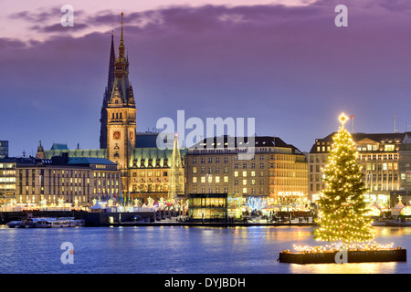 Alstertanne auf der à Hambourg Binnenalster, Deutschland, Europa Banque D'Images